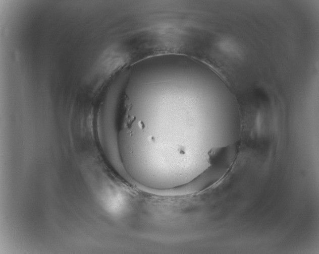 X0000067460045200604071139