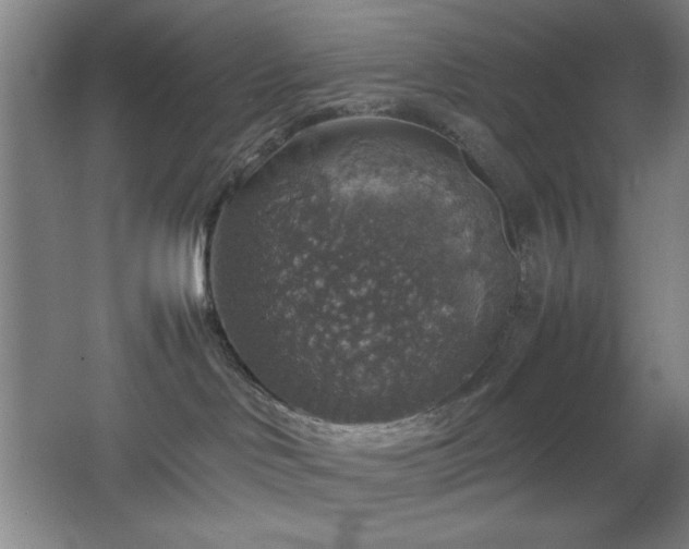 X0000067460046200604071139