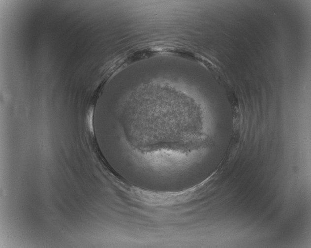 X0000067460047200604071139