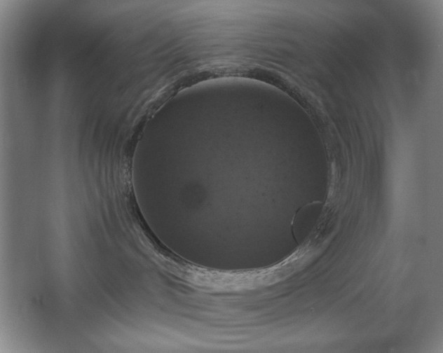 X0000067460048200604071139