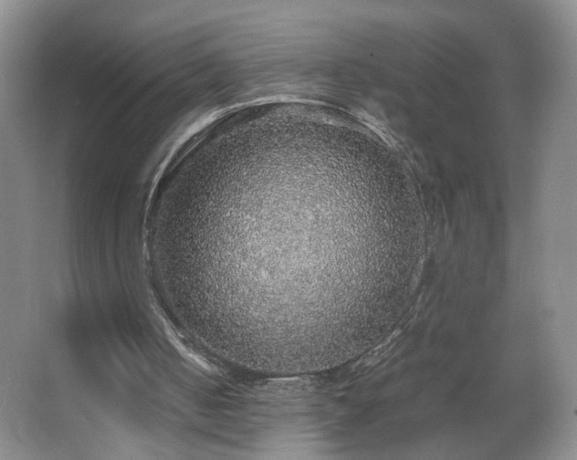 X0000067460050200604071139