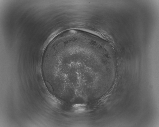 X0000067460051200604071139