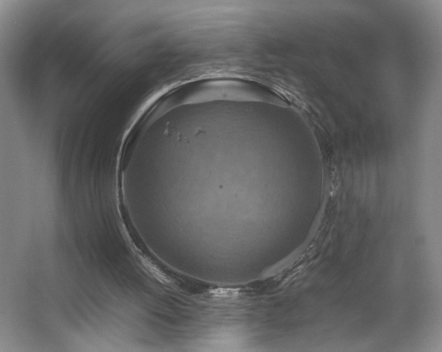 X0000067460052200604071139