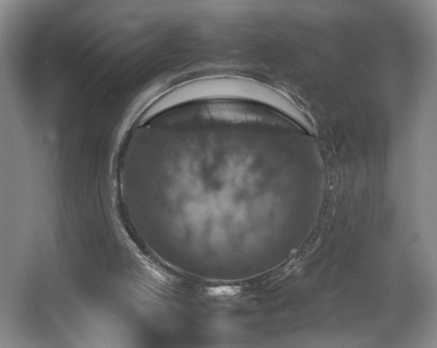 X0000067460053200604071139