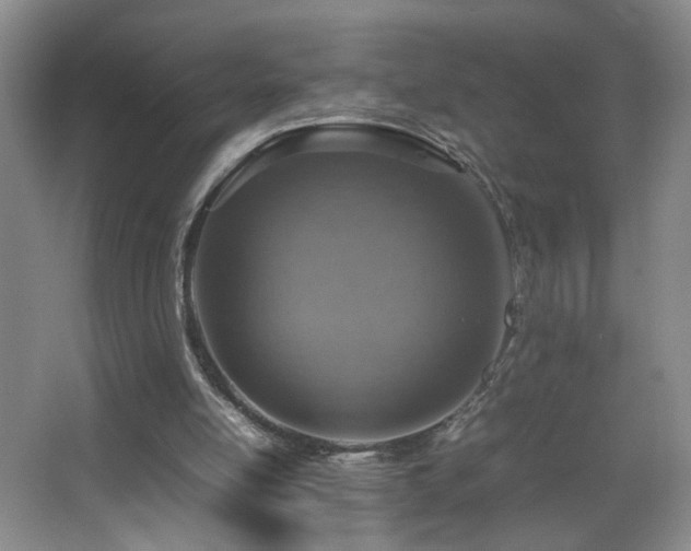 X0000067460054200604071139