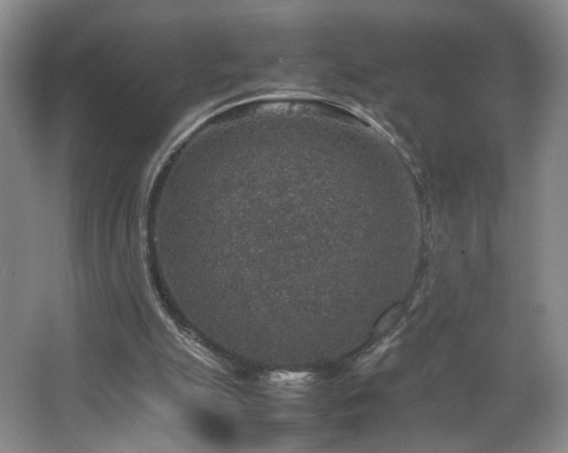 X0000067460055200604071139