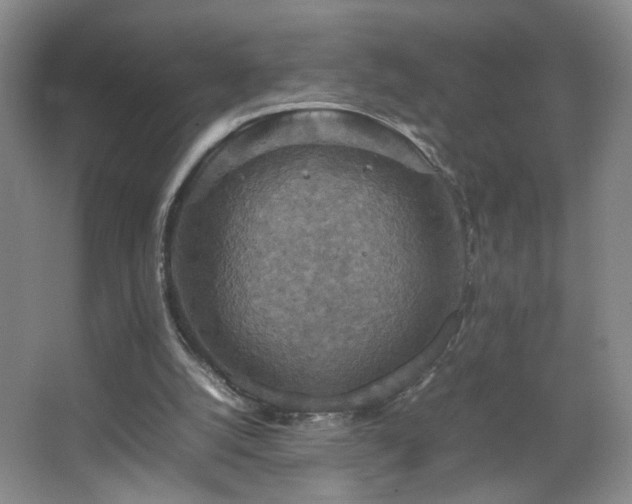 X0000067460056200604071139