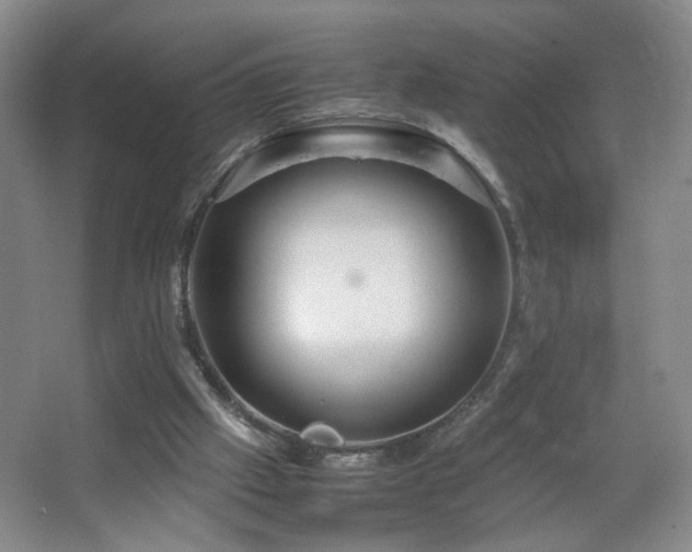 X0000067460057200604071139