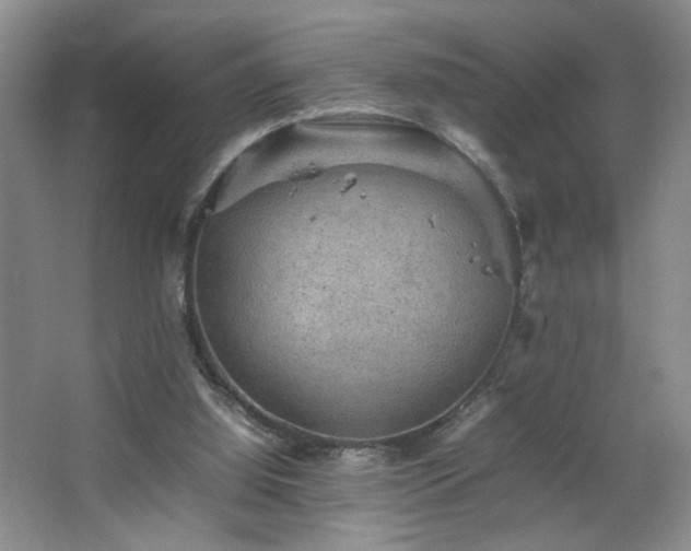 X0000067460060200604071139