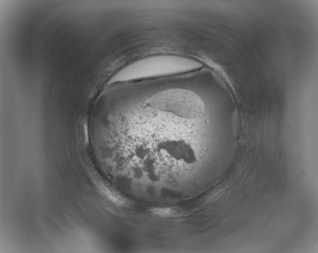 X0000067460061200604071139