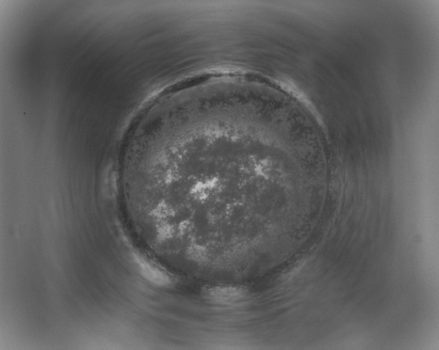 X0000067460063200604071139