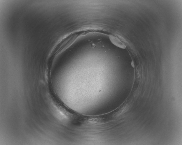 X0000067460064200604071139