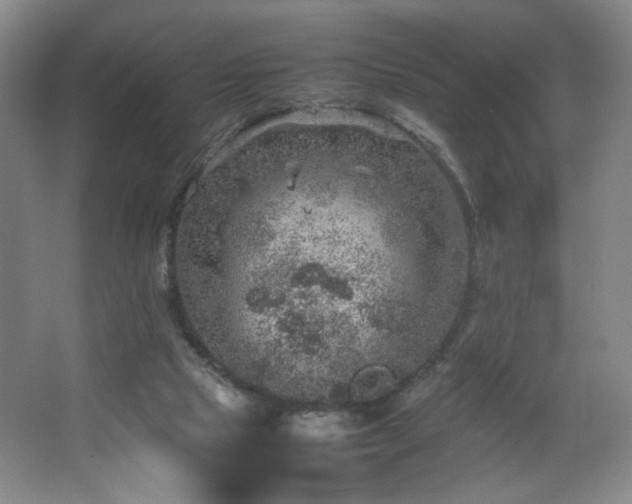 X0000067460065200604071139