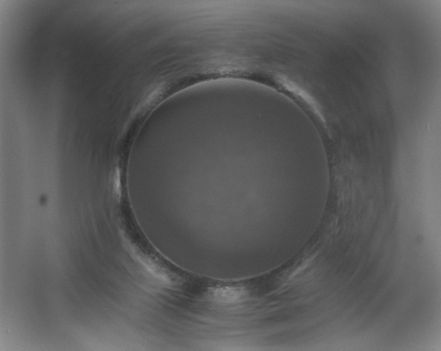 X0000067460067200604071139