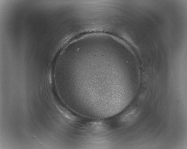 X0000067460068200604071139