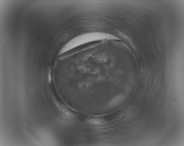 X0000067460069200604071139