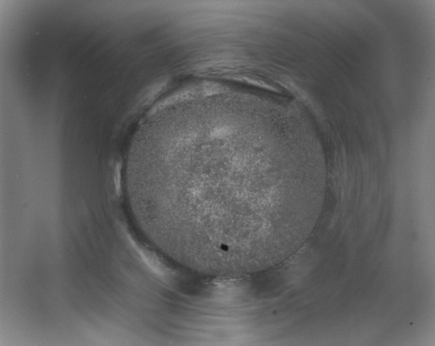 X0000067460070200604071139