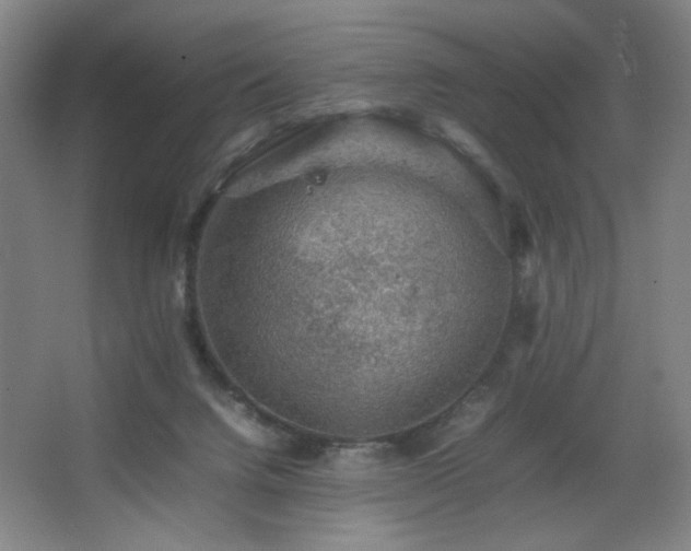 X0000067460072200604071139