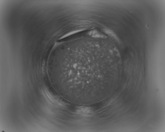 X0000067460073200604071139