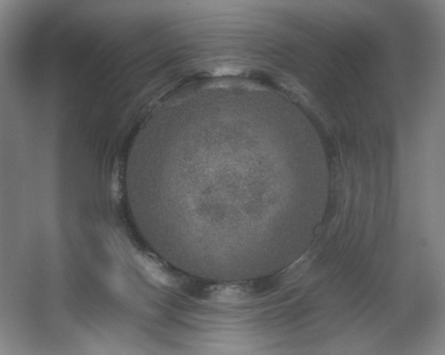 X0000067460074200604071139