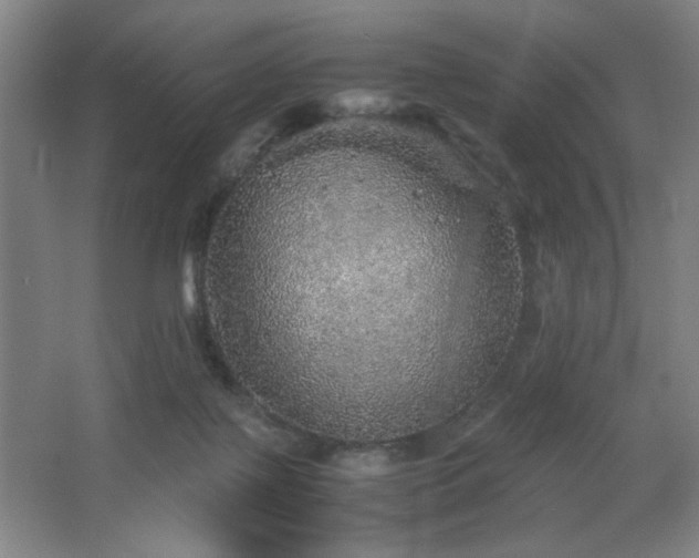 X0000067460075200604071139