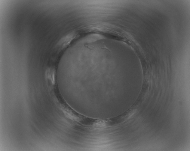 X0000067460076200604071139