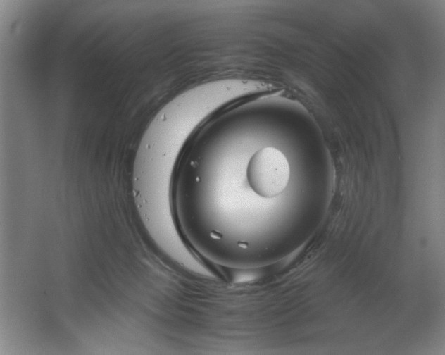 X0000067460077200604071139