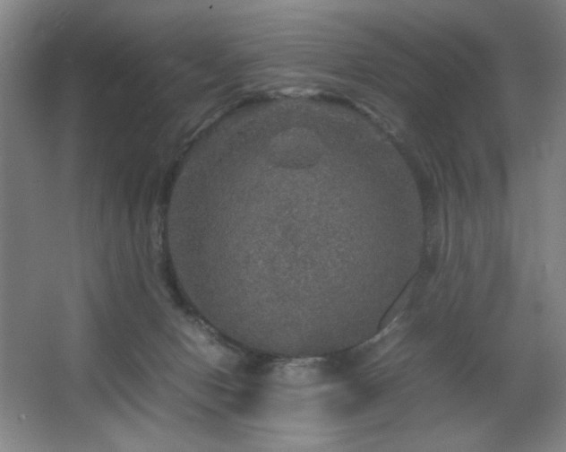 X0000067460078200604071139