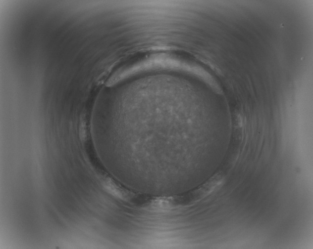 X0000067460080200604071139