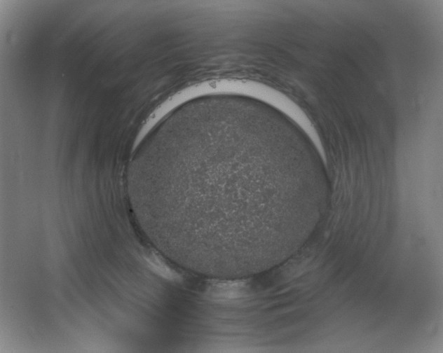 X0000067460081200604071139