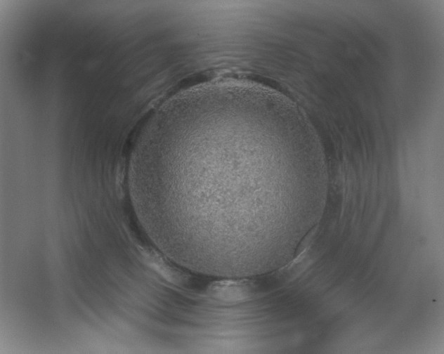 X0000067460082200604071139