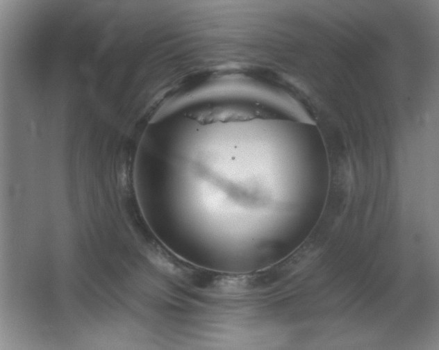 X0000067460084200604071139