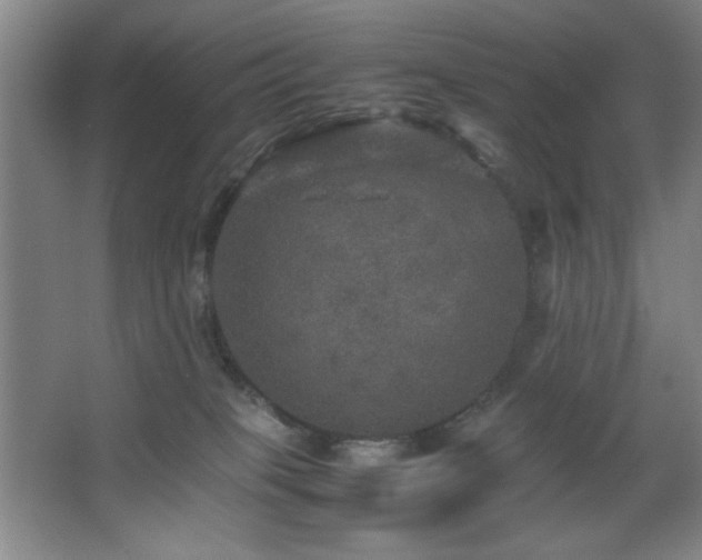 X0000067460085200604071139