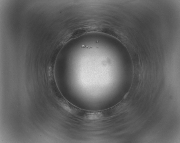 X0000067460087200604071139