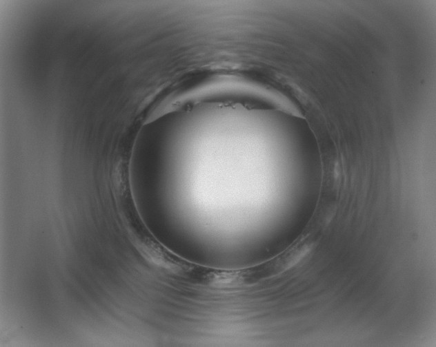 X0000067460088200604071139