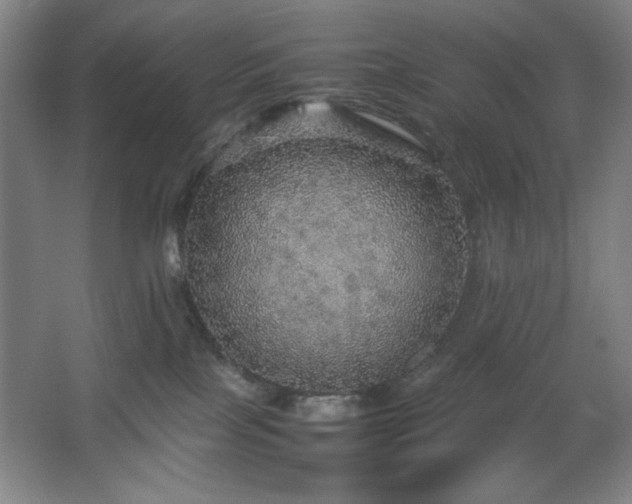 X0000067460089200604071139