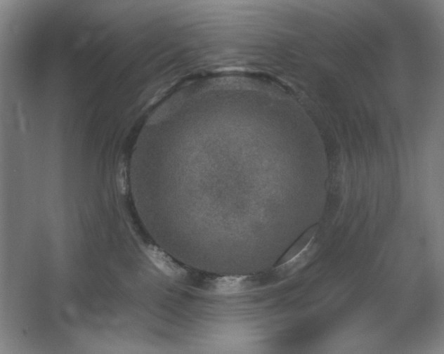 X0000067460090200604071139