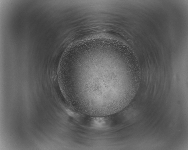 X0000067460091200604071139