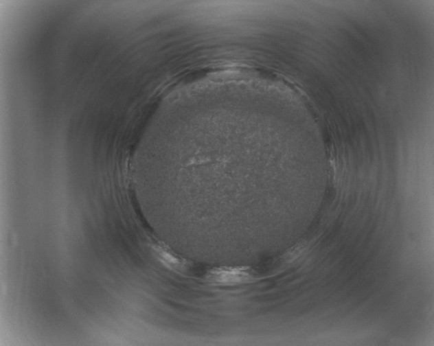 X0000067460093200604071139