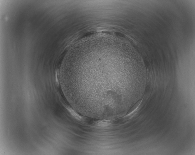 X0000067460094200604071139