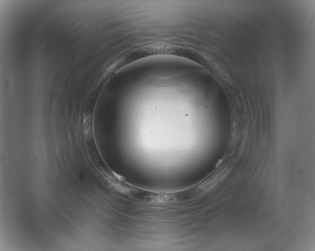 X0000067460096200604071139