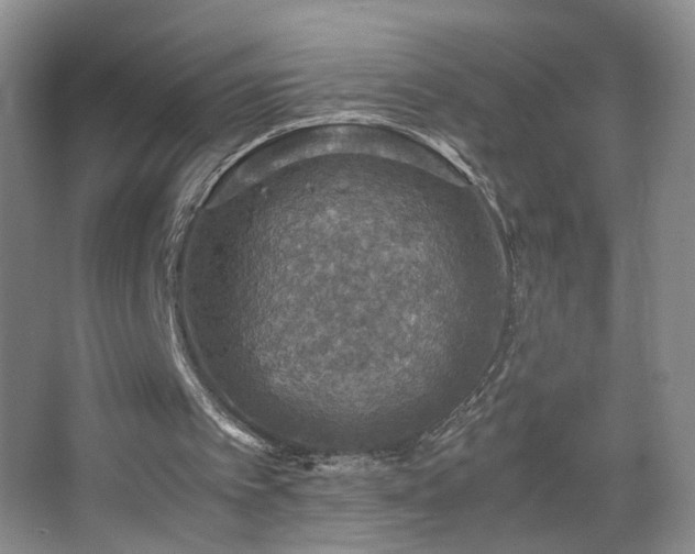 X0000067460097200604071139