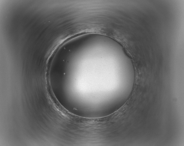 X0000067460098200604071138