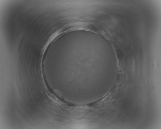 X0000067460099200604071138