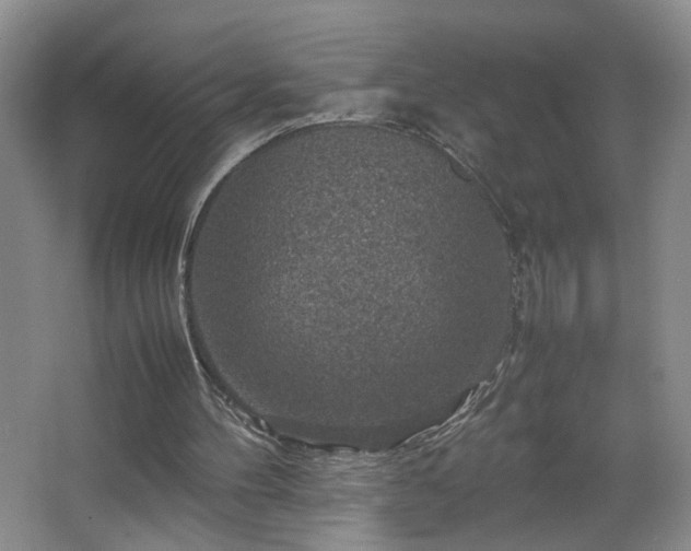 X0000067460100200604071138