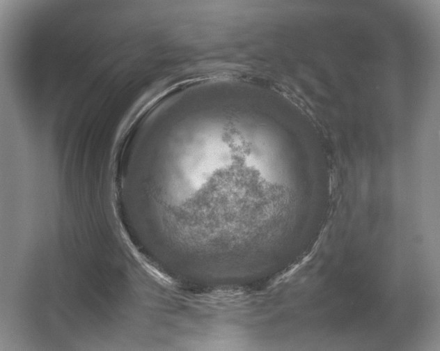 X0000067460101200604071138