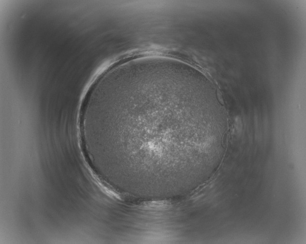 X0000067460102200604071138