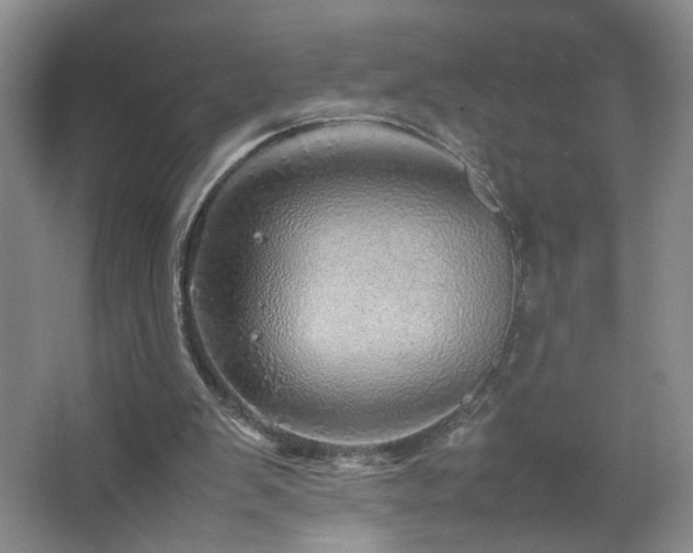 X0000067460103200604071138