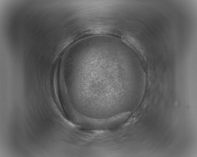 X0000067460105200604071138