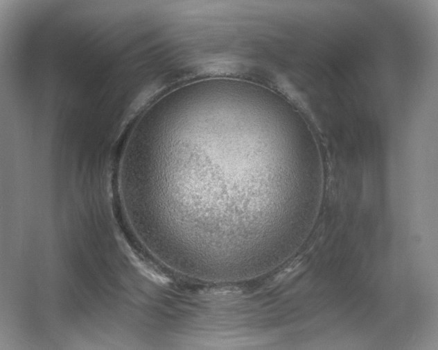 X0000067460106200604071138